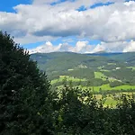 Anna Apartment Weitenbach