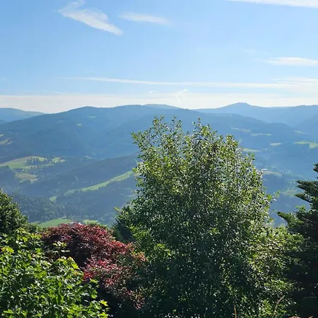 Anna Appartement Weitenbach